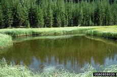 Reservoir