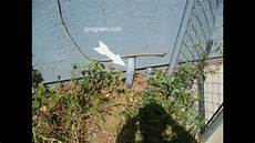 Waste Line Pipe