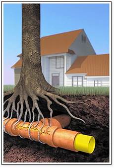 Water Line Pipe Material